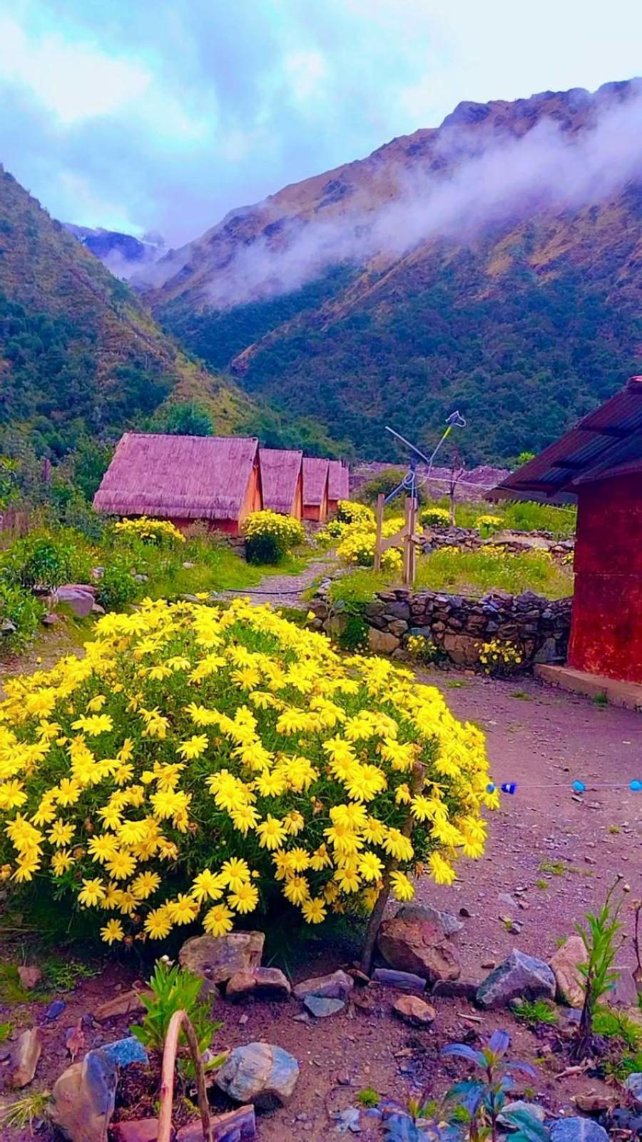 Cabanas Andinas Eco Lodge Mama Andrea Soray Zewnętrze zdjęcie